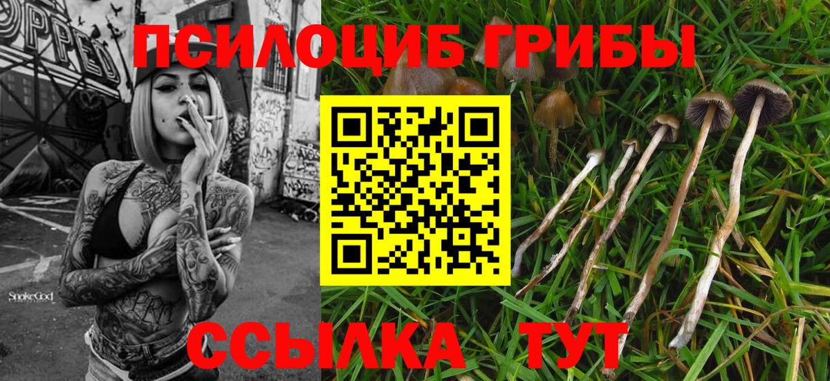 Одинцово  купить наркотик  Вход с VPN  Галлюциногенные грибы Cubensis 